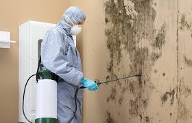 Best Mold Documentation for Insurance Claims  in Citronelle, AL